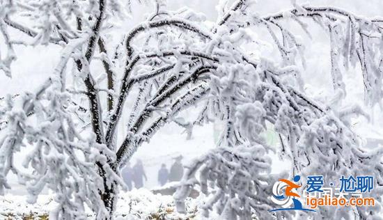 跨年冷空氣來了！西南地區等地多陰雨雪天氣 重慶元旦可賞霧凇？