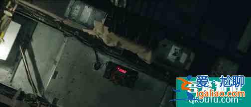 熱度登頂,《在劫難逃》無限循環太燒腦!鹿晗的演技這次穩了? 熱度登頂,《在劫難逃》無限循環太燒腦!鹿晗的演技這次穩了?