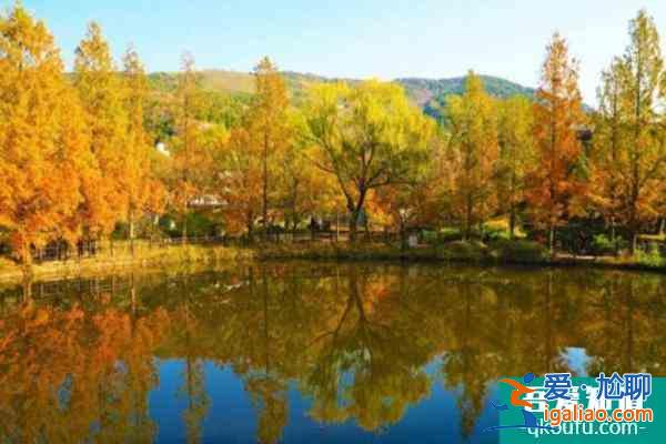 2022北京網紅打卡地推薦？