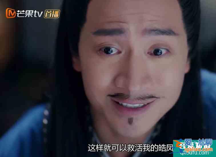 《琉璃》宮主強迫皓鳳才有的司鳳，了解前宮主的計謀，心疼父子倆？