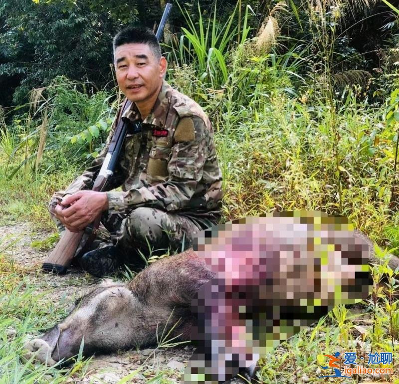 持續升高的賞金追不上種群繁殖的速度？