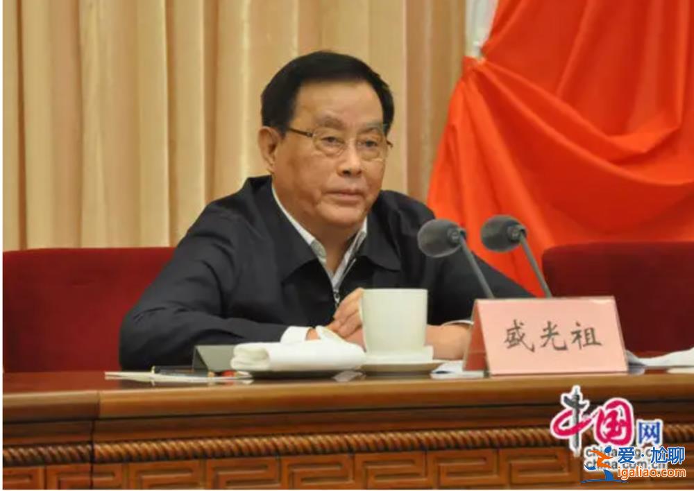 中央紀委年終總結 點名傅政華、盛光祖等四“虎”？