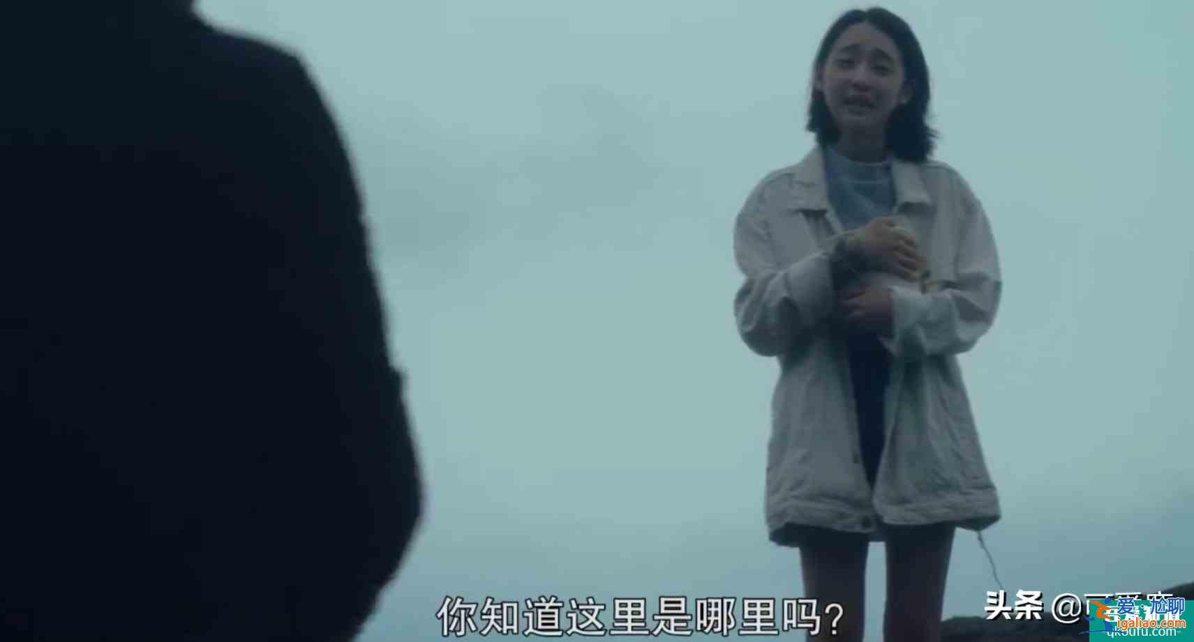 懸疑劇《誰是被害者》豆瓣評分8.1，網(wǎng)友：我是為林心如打得高分？