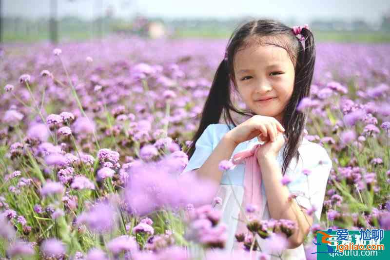 山東齊河花朱村中國驛八卦花田拍照圣地？