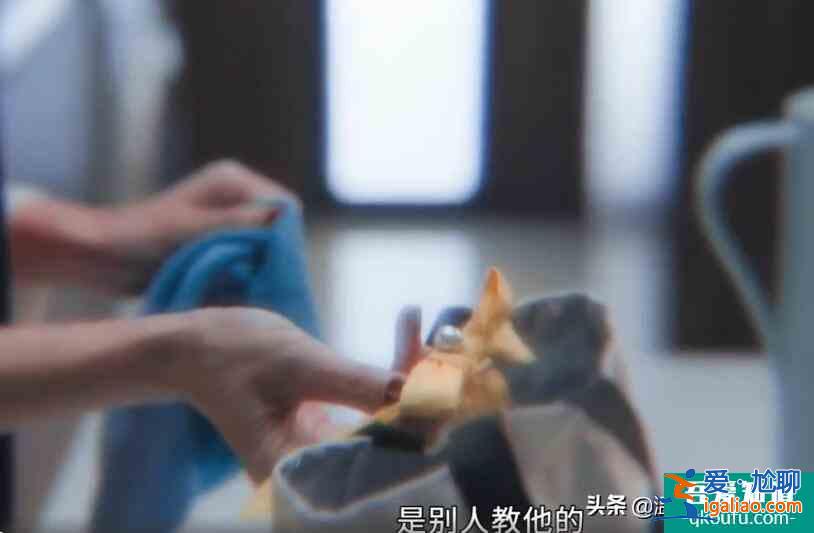 白色月光：萬萬沒想到，張鑫的出軌對象竟然是劉敏濤飾演的楊雁？
