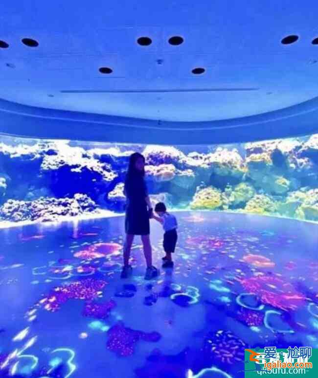 昆凌帶孩子去海洋館 小小周跟媽媽一起看魚乖巧可愛？