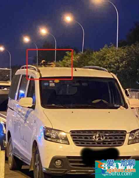 張天愛霸氣喊話跟拍者 趕緊下班回家吃飯吧? 張天愛霸氣喊話跟拍者 趕緊下班回家吃飯吧?