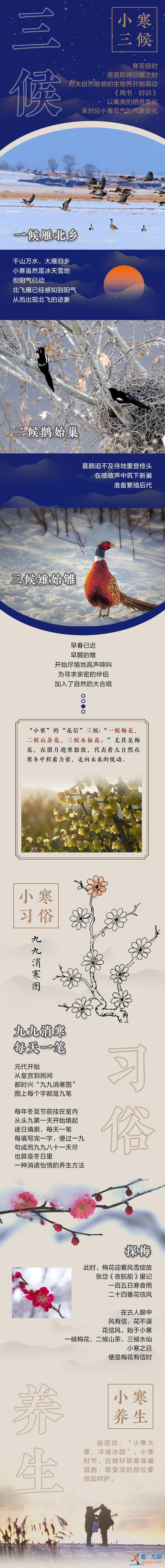 說(shuō)節(jié)氣 | 小寒料峭 山城探梅正當(dāng)時(shí)？