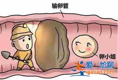 〖說一下〗北京需要代媽的公司？