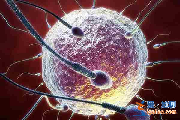 (坐標(biāo)武漢)天津三代試管_讓您和寶寶一起? (坐標(biāo)武漢)天津三代試管_讓您和寶寶一起?