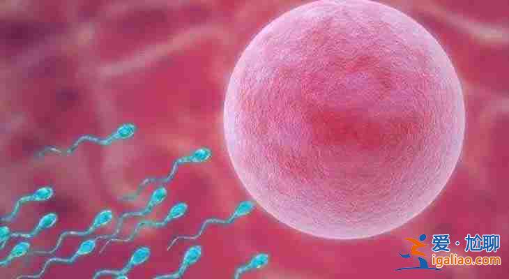 解讀一下「廣州三代試管嬰兒最好的醫(yī)院」? 解讀一下「廣州三代試管嬰兒最好的醫(yī)院」?