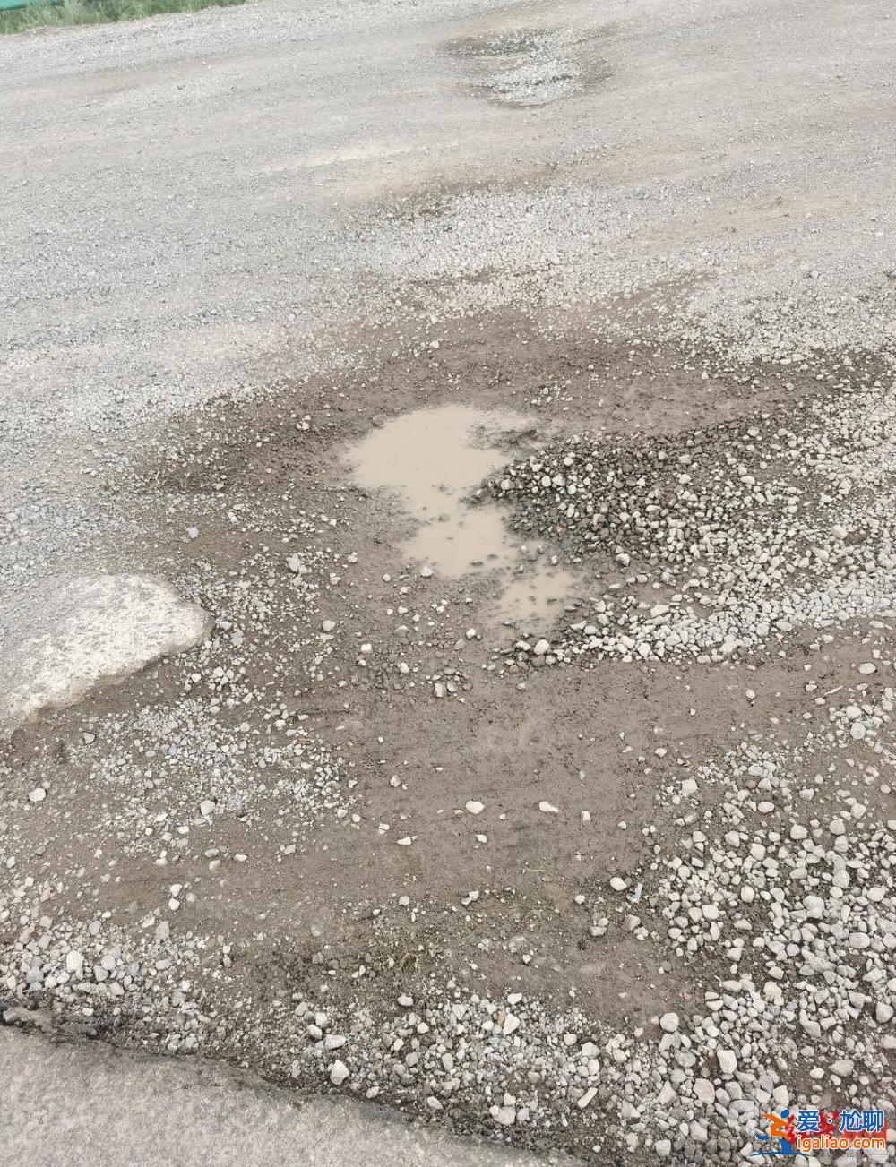 沒人管的棄養公路 責任該誰負？？