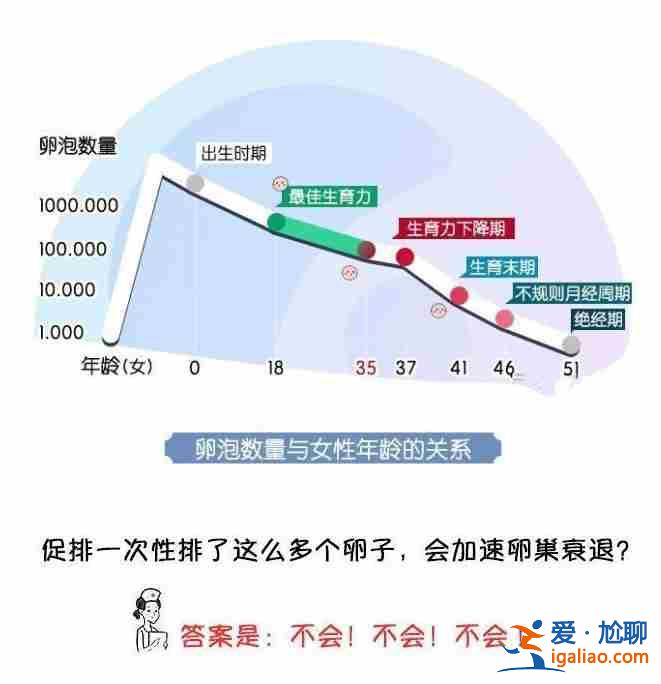 50萬找人生孩子——充滿孩子的歡笑？
