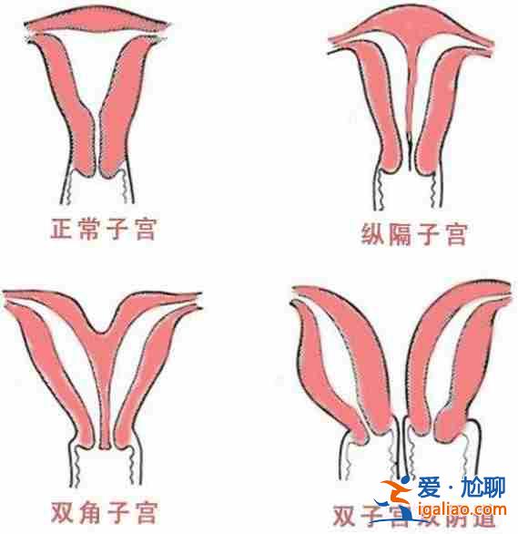 〖焦點〗替生孩子有嗎？