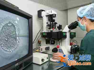 惠州試管包生男孩中介(求子得子)？