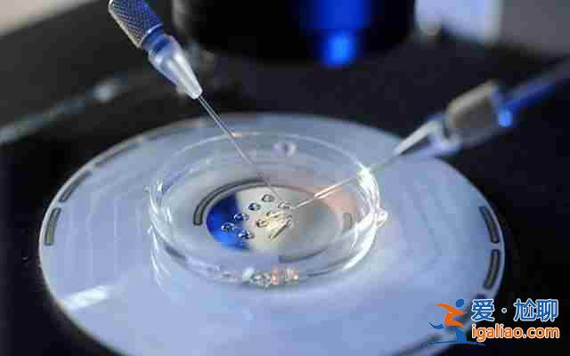 (網(wǎng)易熱搜)幸孕星國際試管怎么樣-無精還能要到小孩嗎? (網(wǎng)易熱搜)幸孕星國際試管怎么樣-無精還能要到小孩嗎?