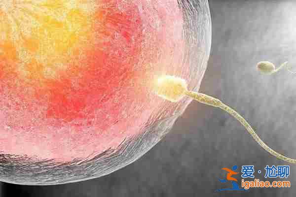 (醫院指定)代人生小孩費用多少錢?有什么標準? (醫院指定)代人生小孩費用多少錢?有什么標準?