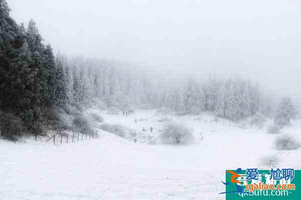 重慶冬季看雪哪里好 重慶冬季看雪的景點及攻略? 重慶冬季看雪哪里好 重慶冬季看雪的景點及攻略?