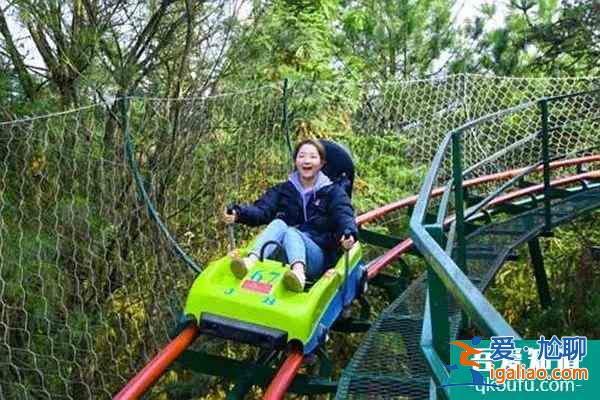 武義縣鹿島公園有什么好玩的？