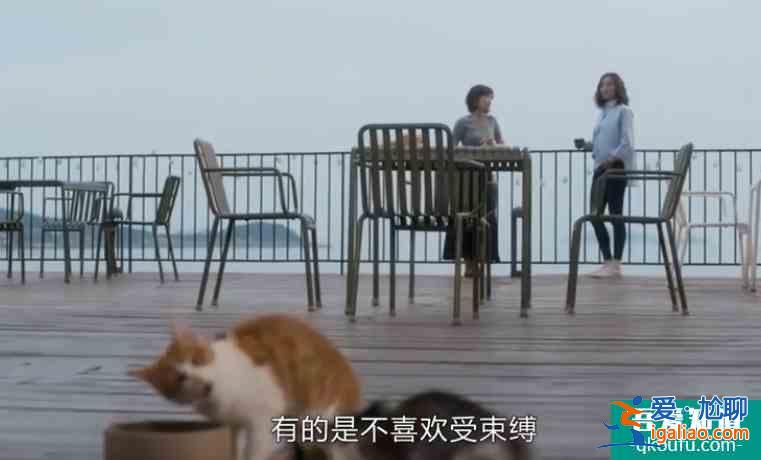 《白色月光》張?chǎng)纬鲕墝?duì)象是楊雁，孫雯雯是炮灰，張?chǎng)卧O(shè)的什么局？