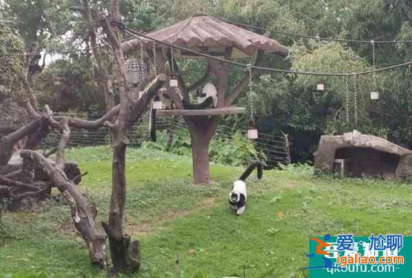 2021受疫情影響南京金牛湖野生動物園取消12月16日免費開放日活動？