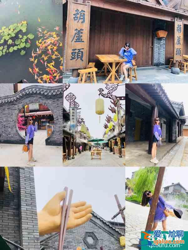 濟南周邊游玩勝地,中國驛八卦花田? 濟南周邊游玩勝地,中國驛八卦花田?