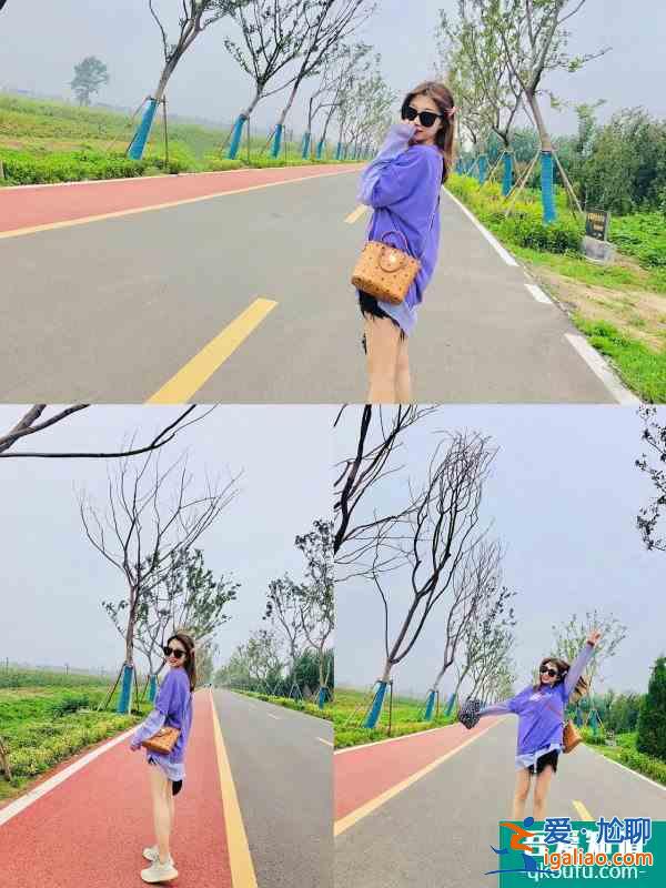 濟南周邊游玩勝地,中國驛八卦花田? 濟南周邊游玩勝地,中國驛八卦花田?