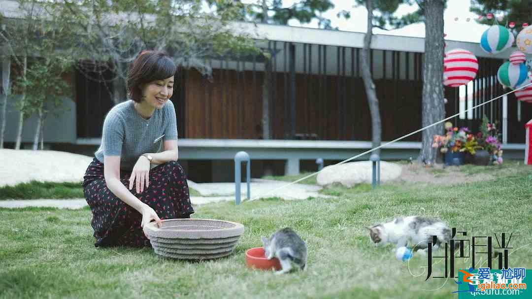 首創婚姻懸疑片！《白色月光》看宋佳大女主如何手撕渣男小三？？