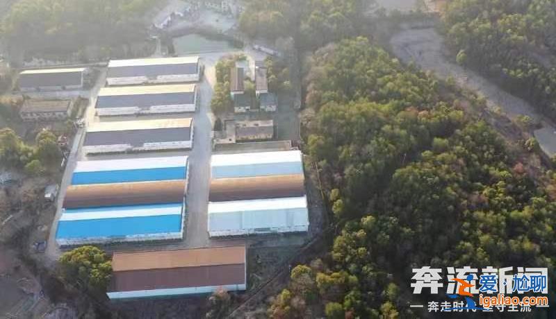 胡鑫宇遺體發(fā)現(xiàn)地距森林公安局150米 “搜尋時(shí)一直擴(kuò)大范圍 沒想到人就在跟前”？