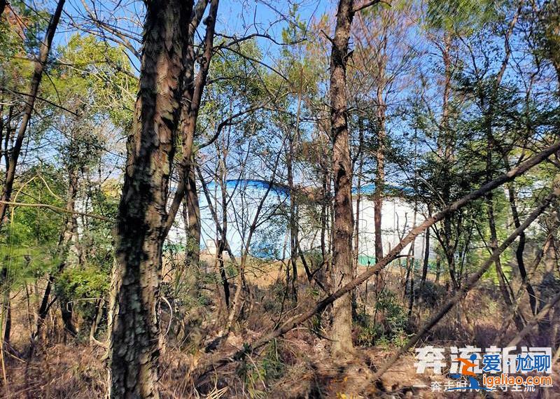 胡鑫宇遺體發(fā)現(xiàn)地距森林公安局150米 “搜尋時(shí)一直擴(kuò)大范圍 沒想到人就在跟前”？