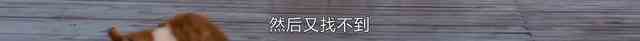 《白色月光》：張鑫出軌了嗎？小三究竟是誰？真相已在細節(jié)中？