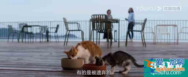 《白色月光》：張鑫出軌了嗎？小三究竟是誰？真相已在細節(jié)中？