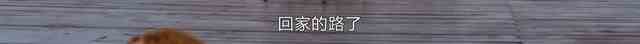 《白色月光》：張鑫出軌了嗎？小三究竟是誰？真相已在細節(jié)中？