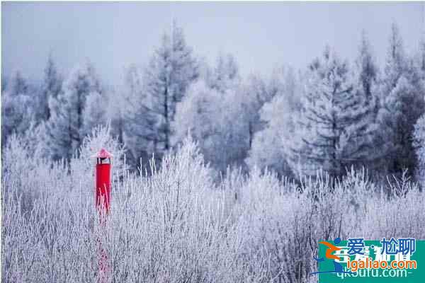 冬季阿爾山旅游攻略 這些必玩景點值得關注？