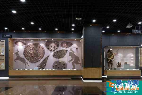 2021中國古動(dòng)物館人類演化館暫停開放通知？