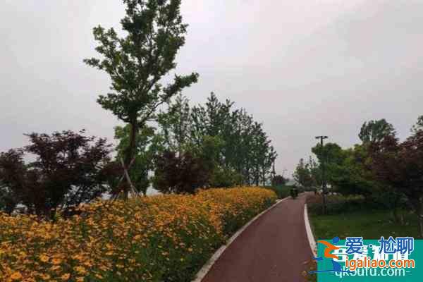 受疫情影響寧波姚江跑步健身道路暫時關閉？