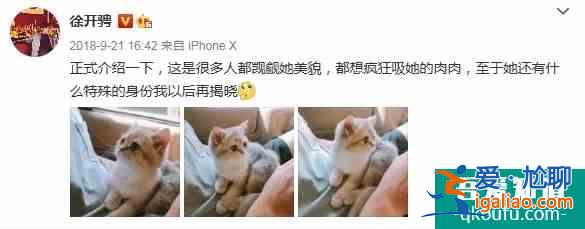 是《且聽鳳鳴》里的冷面傲嬌圣子君臨淵，更是自在生活的快樂水豚先？