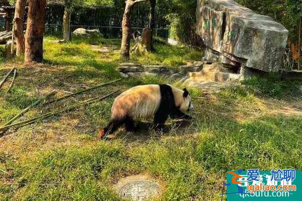 2021寧波受疫情影響寧波野生動物園暫停對外開放12月？