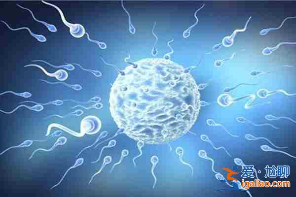 關于〖合肥代生男孩多少錢〗發展,補佳樂是助孕還是避孕? 關于〖合肥代生男孩多少錢〗發展,補佳樂是助孕還是避孕?