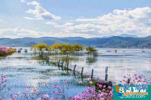 江西艾溪湖森林濕地公園門票多少錢？