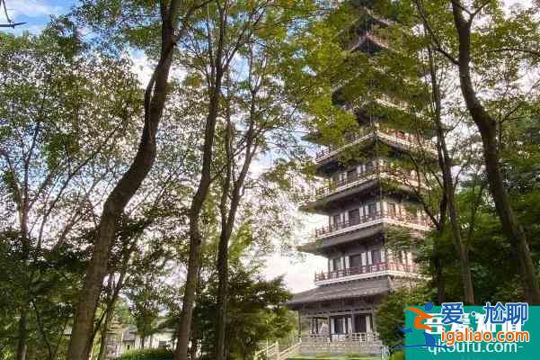 2021受疫情影響宜興龍背山森林公園暫時閉園？