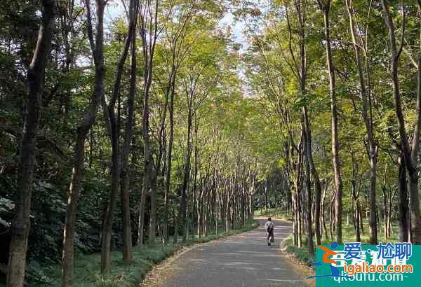 2021受疫情影響宜興龍背山森林公園暫時閉園？