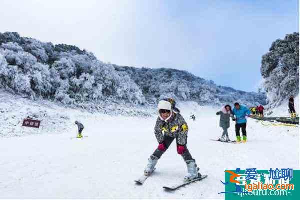2021重慶金佛山冰雪節(jié)門票價(jià)格？