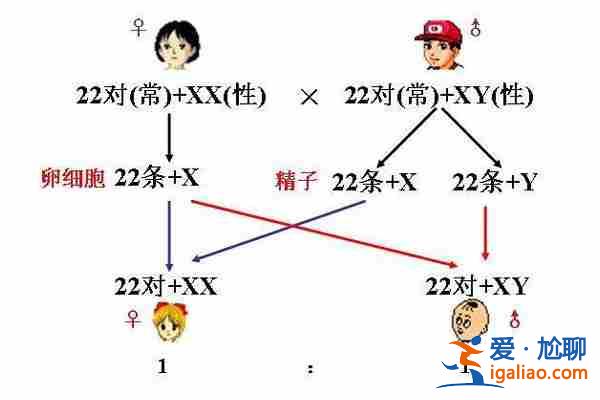 今日〖上海樂寶助孕中心怎樣〗費用解析呂進峰生子助孕公司？