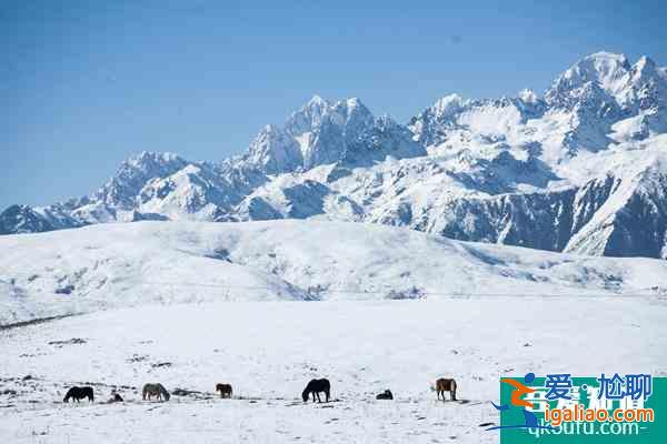 迎冬奧·游四川冬季旅游優(yōu)惠政策詳解? 迎冬奧·游四川冬季旅游優(yōu)惠政策詳解?