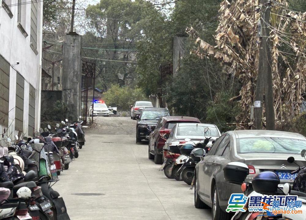 山路設卡封鎖 校區特警巡邏、增設臨檢？