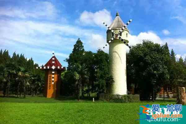 上海水杉觀賞打卡點一覽? 上海水杉觀賞打卡點一覽?