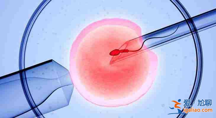 廣而告之> 天津三代試管價(jià)格_新聞30分? 廣而告之> 天津三代試管價(jià)格_新聞30分?