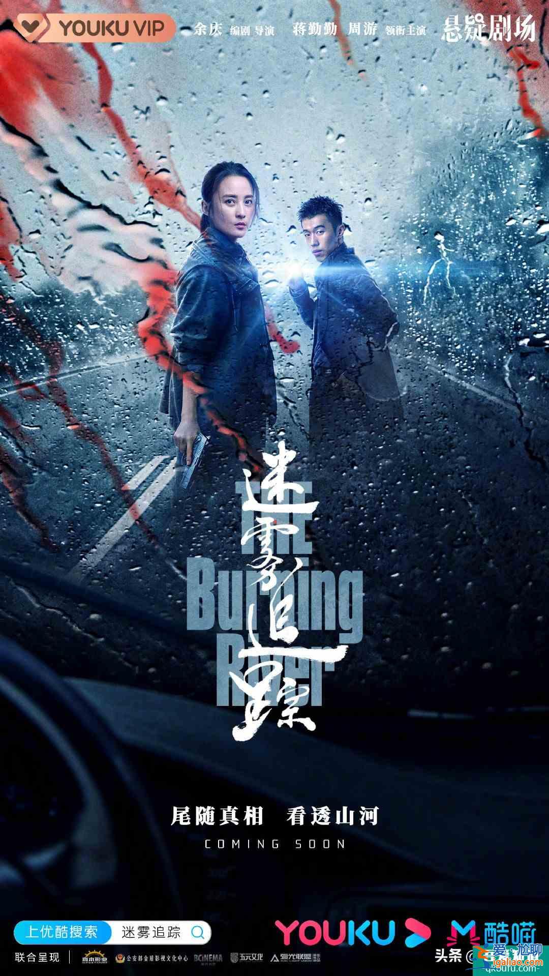 優酷“她懸疑“劇集《白色月光》獨家首播，宋佳劉敏濤氣場全開？
