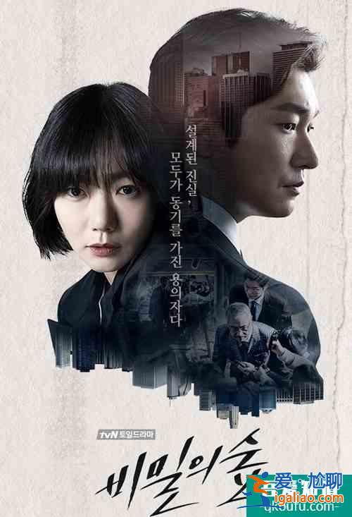 曹承佑、裴斗娜《秘密森林2》再攜手，今年最棒的懸疑劇來了？